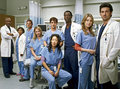 Grey's Anatomy TV Show - Grey's Anatomy Television Show