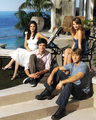 The O.C. TV Show - The O.C. Television Show